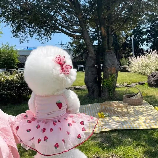 Dog Dress - Strawberry Daisy Pattern Princess Skirt